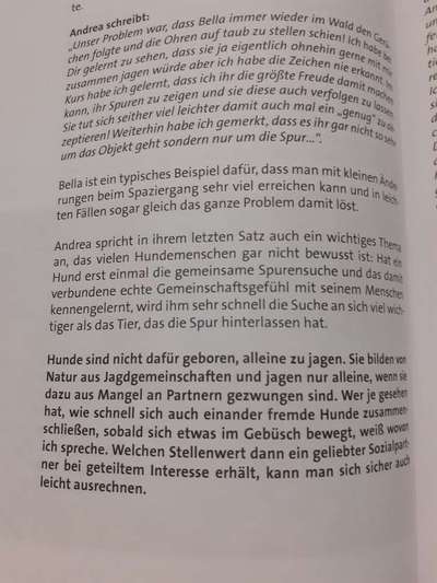 Knurren, bellen, abschnappen bei dem Wort "Nein"-Beitrag-Bild