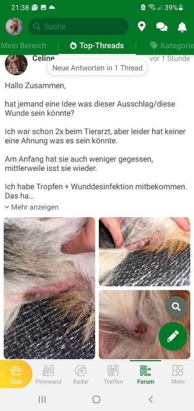 Ausschlag-Beitrag-Bild