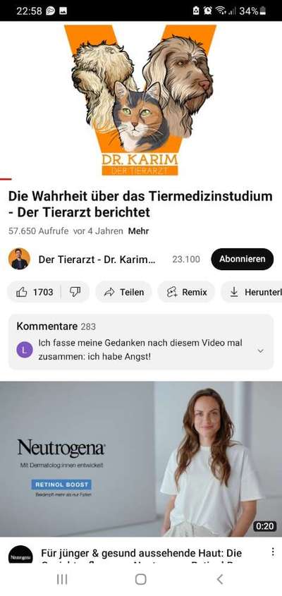 Hochwertiges / Bedarfsgerechtes Nassfutter (ohne Barfen), welches nur?-Beitrag-Bild