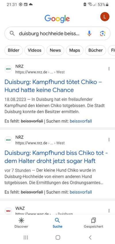 Amstaff Vorurteile - Halter machen Hunde?-Beitrag-Bild