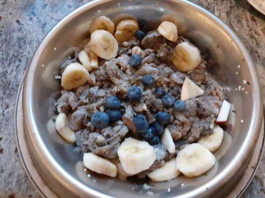 Zeigt her Eure Futternäpfe-Beitrag-Bild