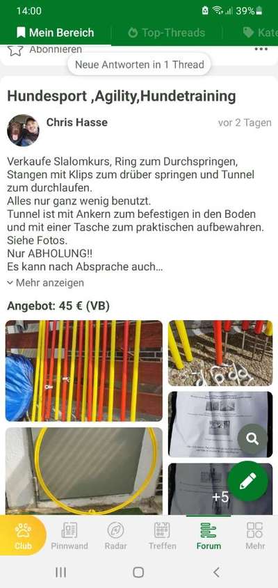 Agility-Beitrag-Bild