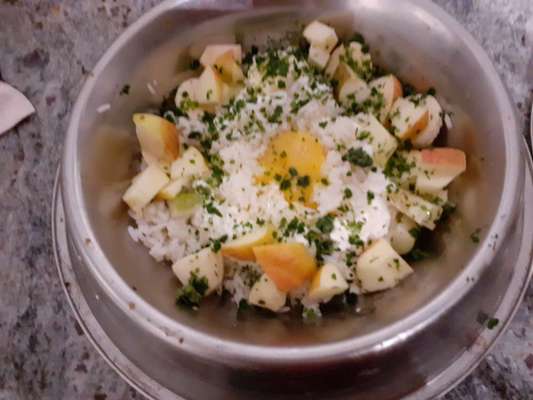 Zeigt her Eure Futternäpfe-Beitrag-Bild