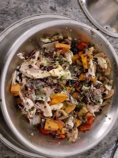 Zeigt her Eure Futternäpfe-Beitrag-Bild