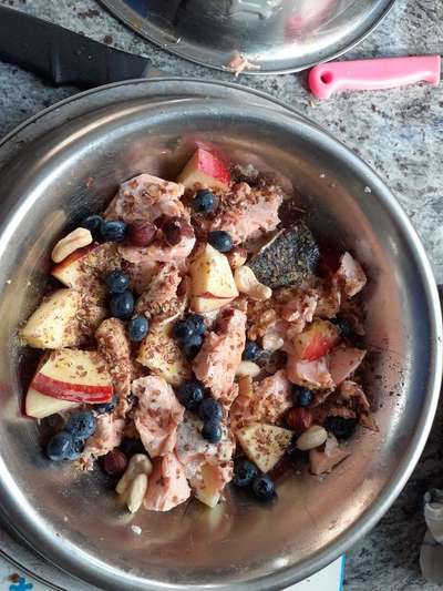 Zeigt her Eure Futternäpfe-Beitrag-Bild