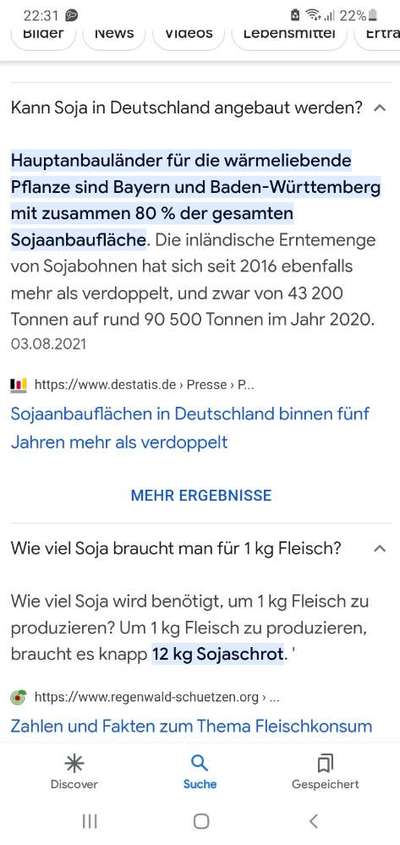 Hundehaltung und Klimawandel-Beitrag-Bild