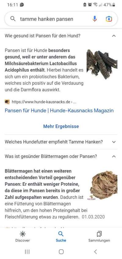 Barfen, wie macht ihr es?-Beitrag-Bild