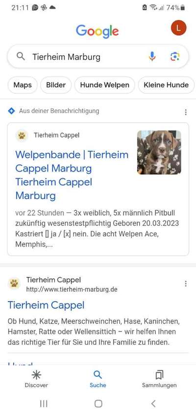 Kastrationspflicht/Kastrationspfand-Beitrag-Bild