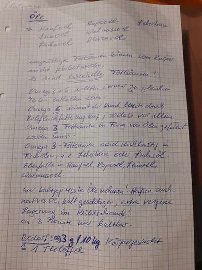 Barfen, wie macht ihr es?-Beitrag-Bild