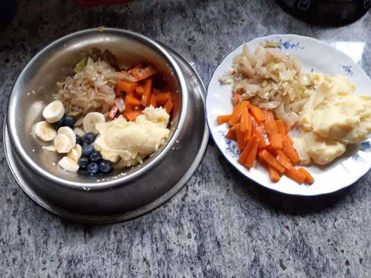 Zeigt her Eure Futternäpfe-Beitrag-Bild