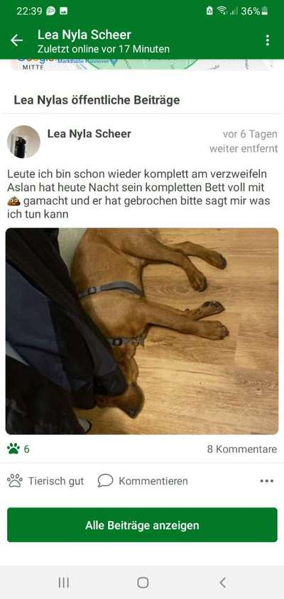 Hund frisst nicht, unruhig und Magengeräusche-Beitrag-Bild