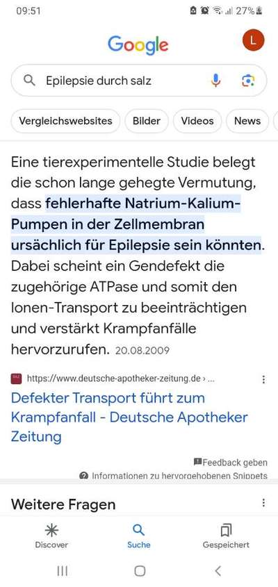 Epilepsie-Beitrag-Bild