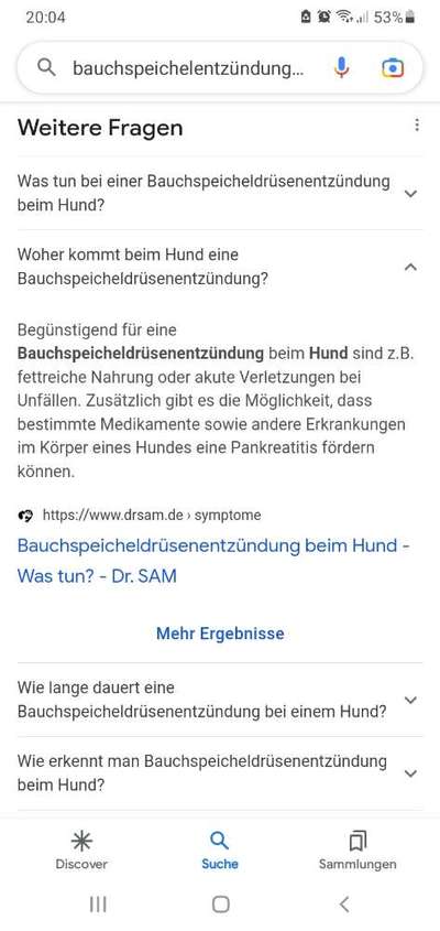 Barfen, wie macht ihr es?-Beitrag-Bild