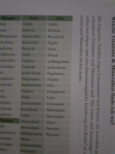 Hochwertiges / Bedarfsgerechtes Nassfutter (ohne Barfen), welches nur?-Beitrag-Bild