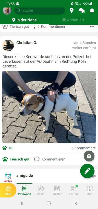 Entlaufene, Gefundene und Vermisste Hunde-Beitrag-Bild