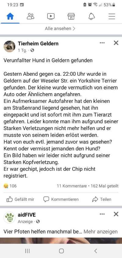 Entlaufene, Gefundene und Vermisste Hunde-Beitrag-Bild