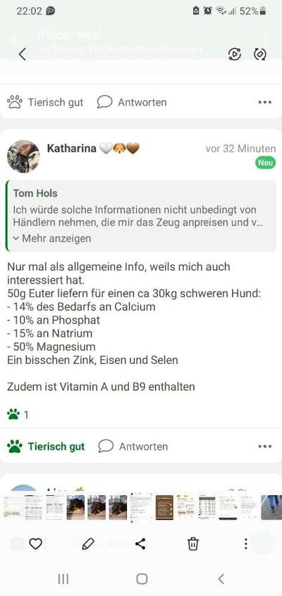 Hochwertiges / Bedarfsgerechtes Nassfutter (ohne Barfen), welches nur?-Beitrag-Bild