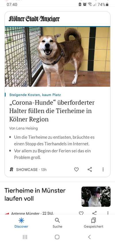 Komische Meldung in den Nachrichten von WDR2-Beitrag-Bild