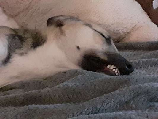 Relaxen im bett-Beitrag-Bild