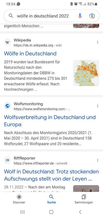 Wolfsbegegnung-Beitrag-Bild