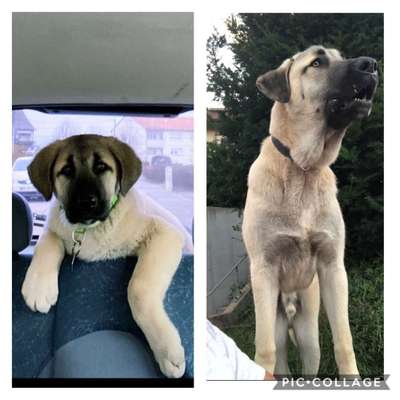 Vorher.... Nachher-Beitrag-Bild