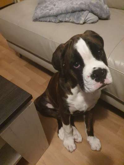 Fotochallange Nr. 57     PORTRÄT.   Beendet!!!!!!!!-Beitrag-Bild