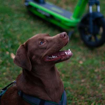 Esme's Profilbild