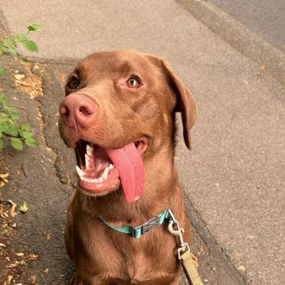 Esme's Profilbild
