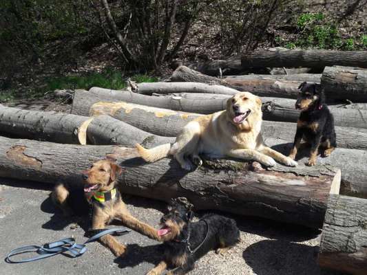 Foto Challenge Nr. 79-Beitrag-Bild