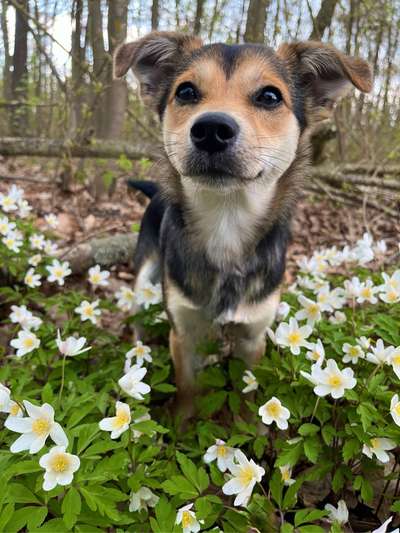 Fotowettbewerb Natur-Beitrag-Bild