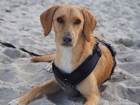 Fotochallange Nr. 57     PORTRÄT.   Beendet!!!!!!!!-Beitrag-Bild