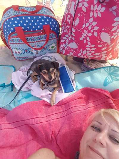 !!SELFIE MIT DEINEM LIEBLING!!-Beitrag-Bild