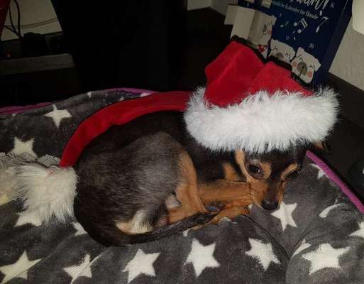 Lieblingsbild-Beitrag-Bild