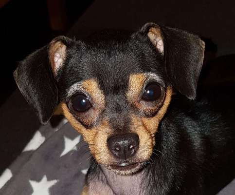 Lieblingsbild-Beitrag-Bild