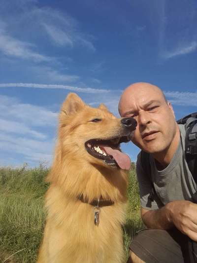 Deine Frage an einen Hundetrainer (Dogorama Webinar)-Beitrag-Bild