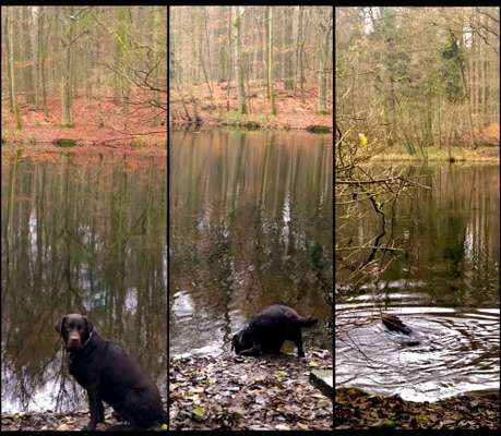 Fotochallenge No. 26                                     Wald und Wiese-Beitrag-Bild