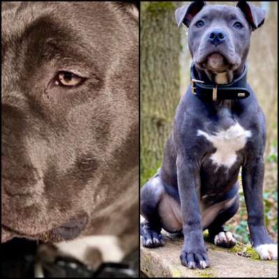 Blick fürs Detail!-Beitrag-Bild