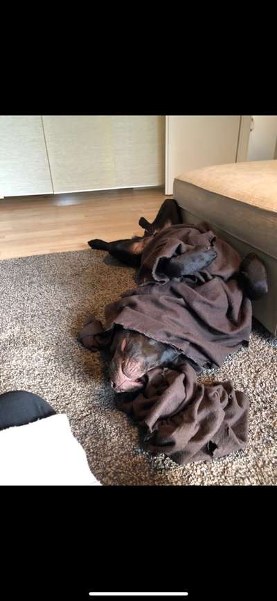 Fotochallenge Nr. 29 - Accessoires-Beitrag-Bild