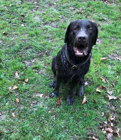 Zeigt mir doch mal eure Dreckspätze-Beitrag-Bild