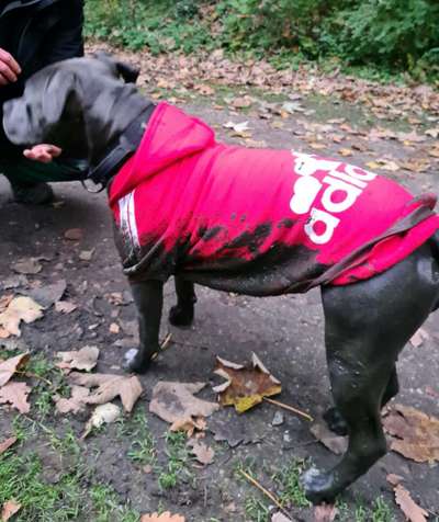 Fotochallenge Nr. 29 - Accessoires-Beitrag-Bild