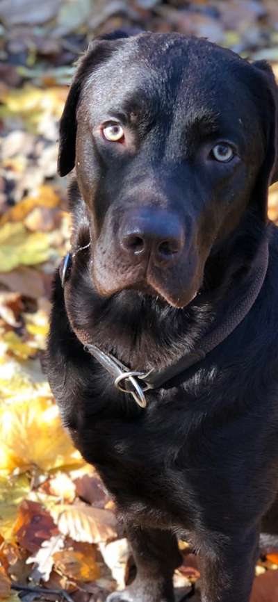 Blick fürs Detail!-Beitrag-Bild