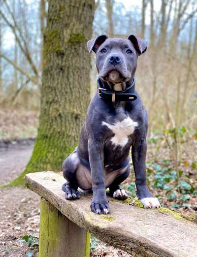 Fotochallenge No. 26                                     Wald und Wiese-Beitrag-Bild