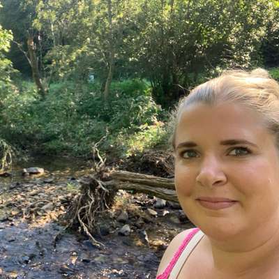 Hundetreffen-Assistenzhundetreffen Rhein-Main-Profilbild