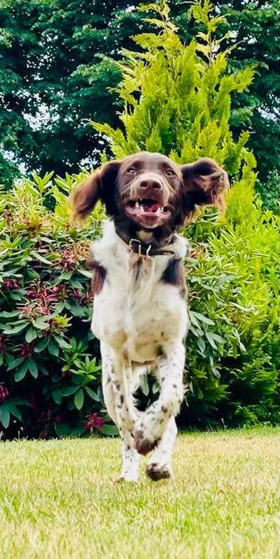 20. Handy -Foto-Callenge-Beitrag-Bild