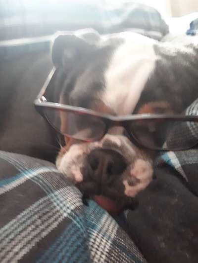 Fotochallenge Nr. 29 - Accessoires-Beitrag-Bild