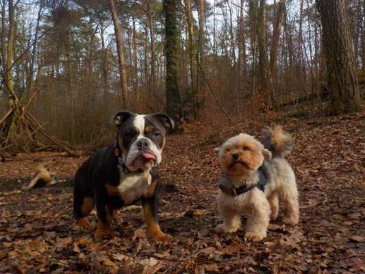 Postet eure schönsten Bilder von Spaziergängen in 2020!-Beitrag-Bild