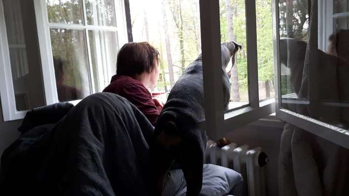 Euer schönstes Bild mit eurem Hund gemeinsam!-Beitrag-Bild