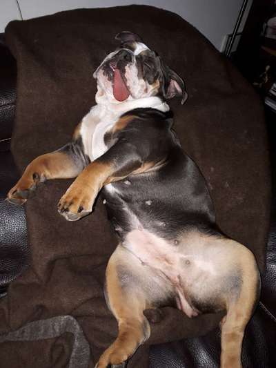 Die unbequemsten und lustigsten Schlafpositionen-Beitrag-Bild