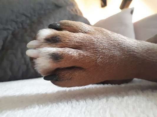 Blick fürs Detail!-Beitrag-Bild