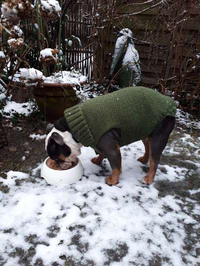 Zeigt euer coolstes winteroutfit-Beitrag-Bild